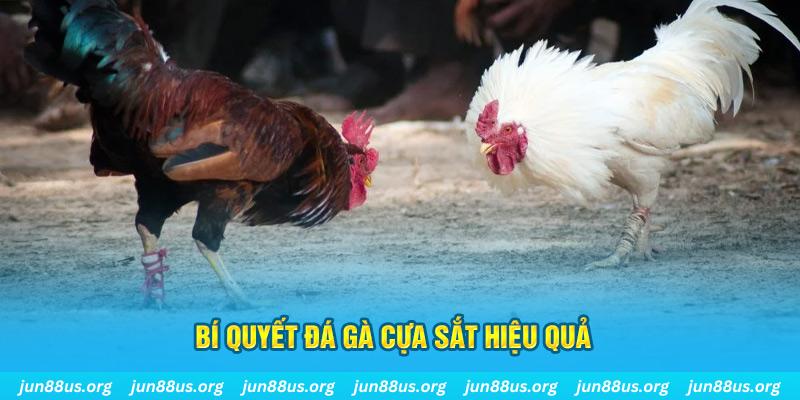 vn777 xổ số miền bắc thứ ba hàng tuần