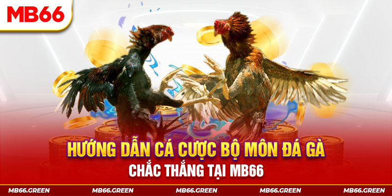 vn777 xổ số miền nam hôm nay
