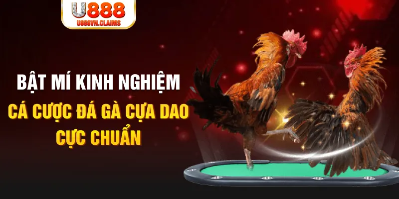 vn777 casino hồ tràm có cho người việt vào không
