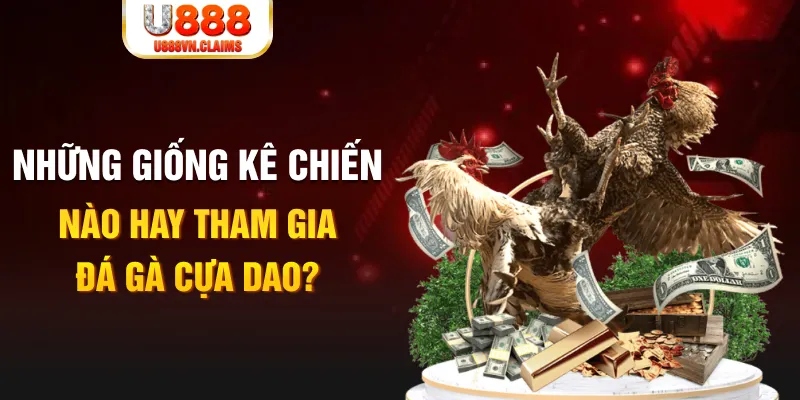 vn777 BG Trực Tuyến