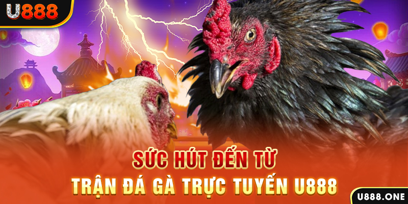 vn777 đăng nhập poker 2024