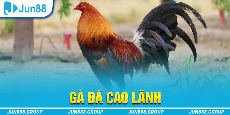 vn777 tai game vua bai ve may tinh