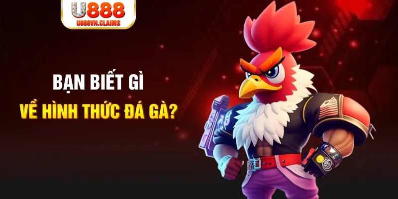 vn777 đăng nhập liêng tặng tiền