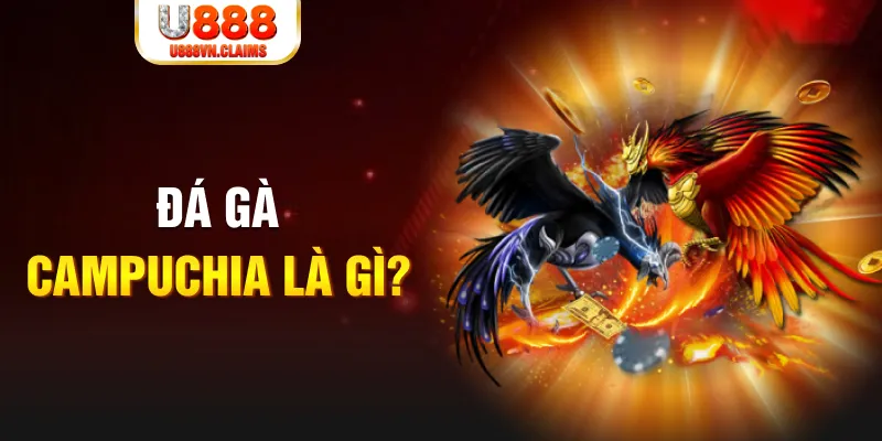 vn777 what is the best online casino for real money