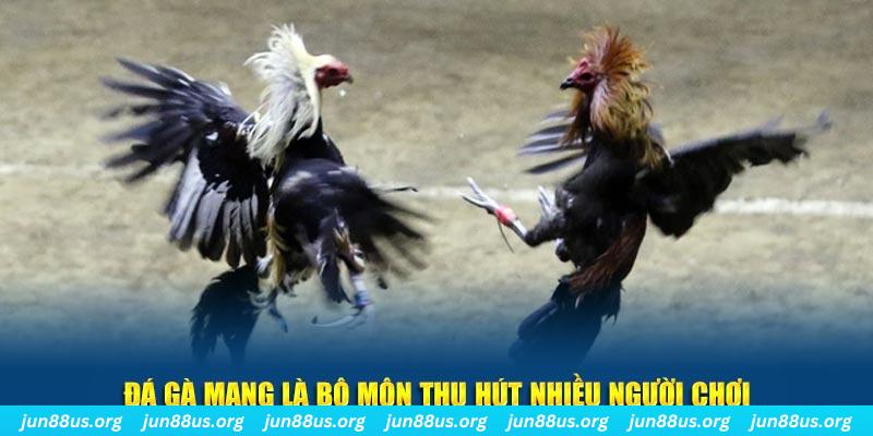 vn777 đăng nhập sòng bạc số 1