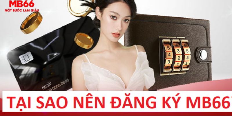 vn777 trực tiếp gà chọi c1