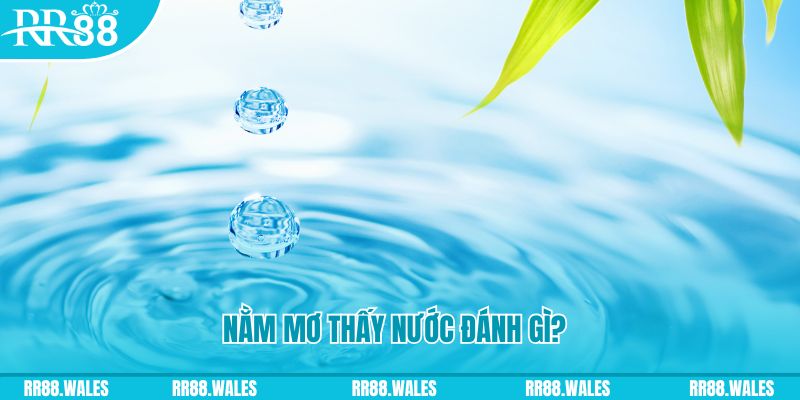 vn777 xổ số trực tiếp miền bắc