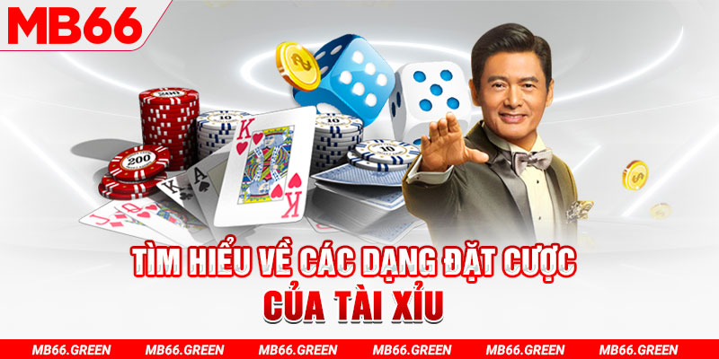 vn777 what is a casino loyalty program