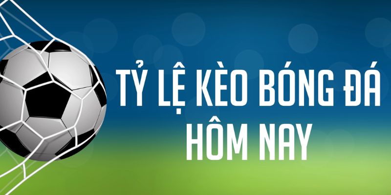 vn777 đăng nhập phỏm