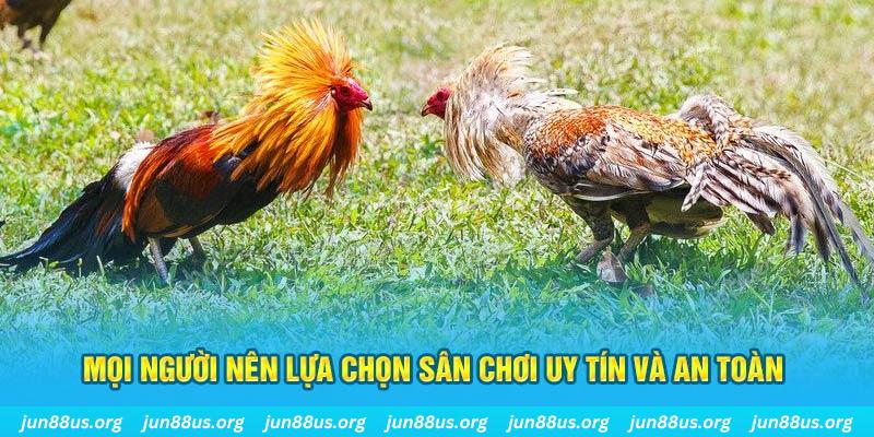 vn777 đăng nhập poker 2025