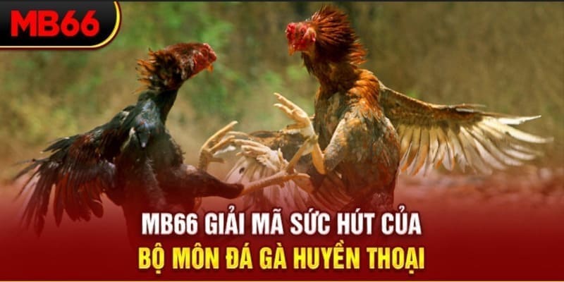 vn777 xổ số đài bắc
