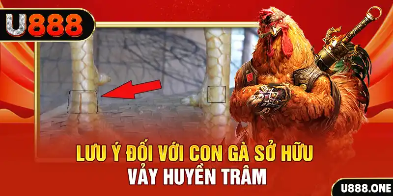 vn777 tải game đánh bài tiến lên miền nam về máy tính