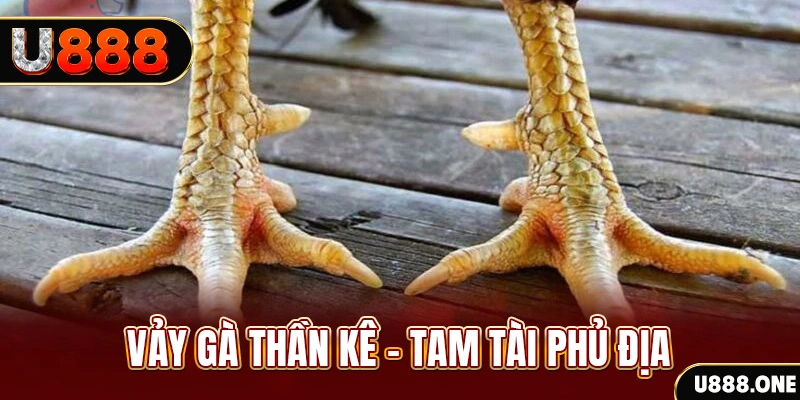 vn777 so xo mien trung