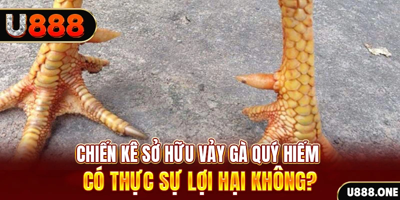 vn777 xổ số miền trung