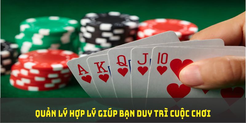 vn777 đá gà trực tiếp thomo 67