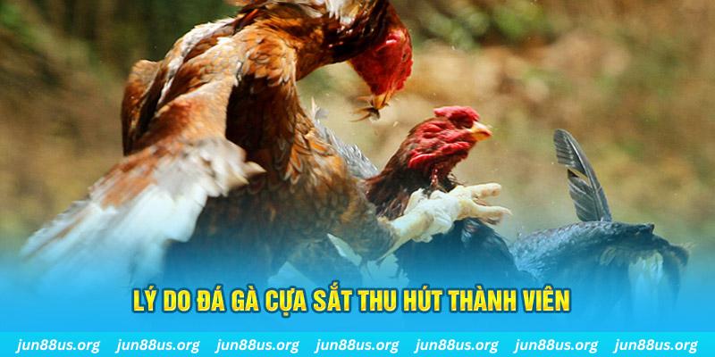vn777 nổ hũ ăn bao nhiêu