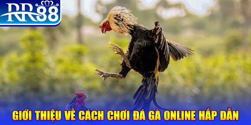 vn777 bắn cá h5 là gì