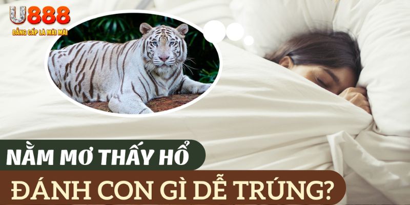 vn777 nohu .mx nổ hủ là gì