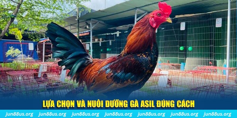 vn777 nổ hũ thần tài là gì