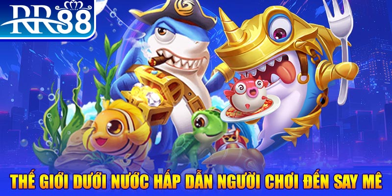 vn777 đăng nhập mậu binh dễ thắng