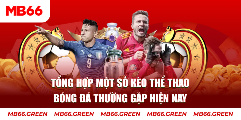 vn777 TP Xổ Số