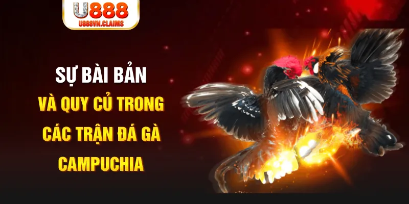 vn777 game xếp bài trên máy tính
