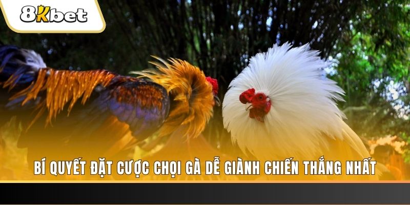 vn777 nổ hũ chơi như thế nào