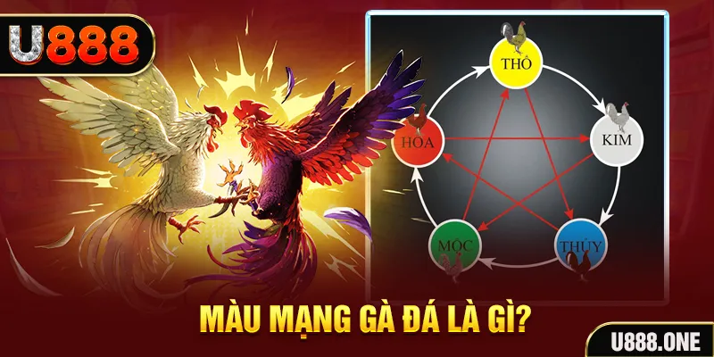 vn777 V8 Game Bài 3d