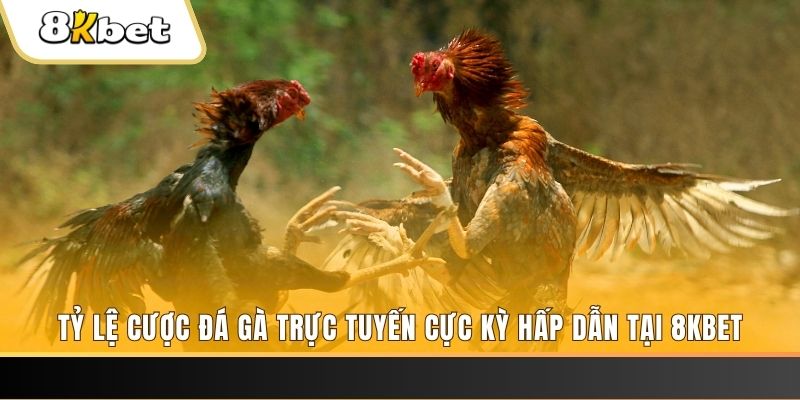 vn777 xổ số miền bắc chủ nhật