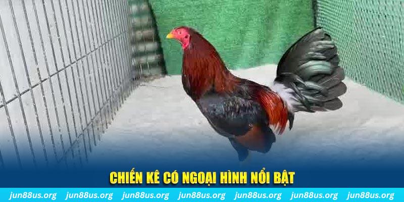 vn777 qq88 bắn cá