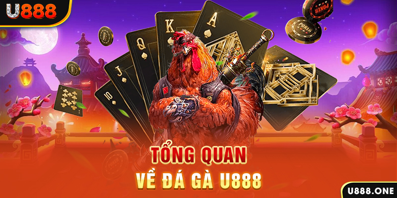 vn777 xổ số vietlott