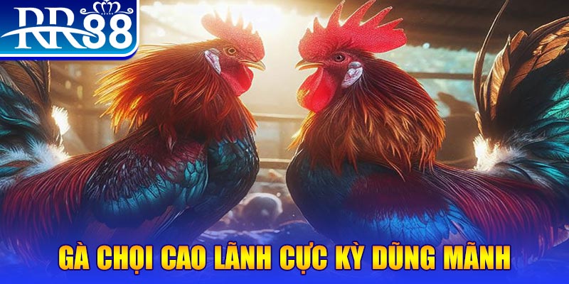 vn777 đăng nhập poker live